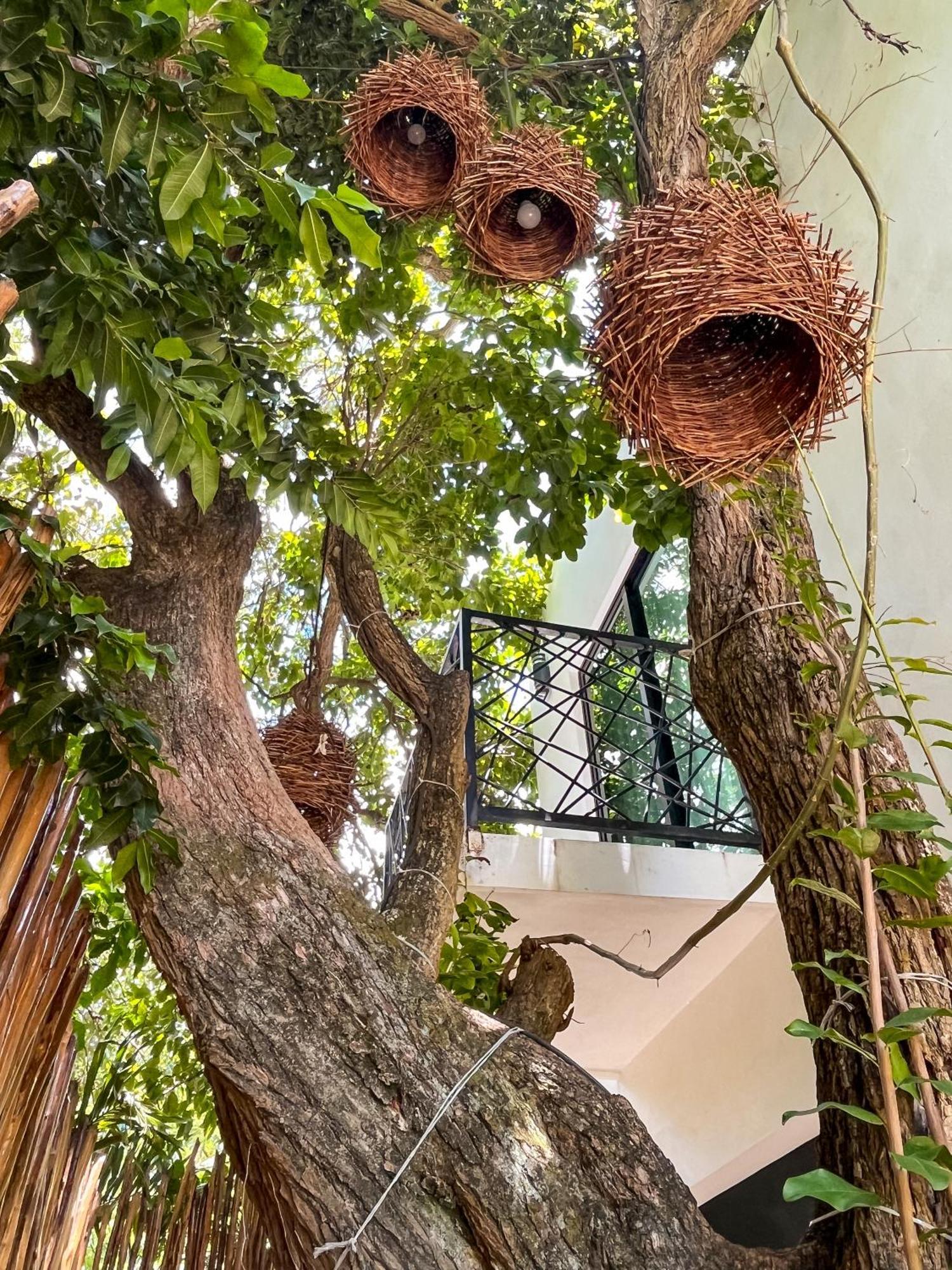 Hotel Kookay Valladolid Valladolid  Kültér fotó